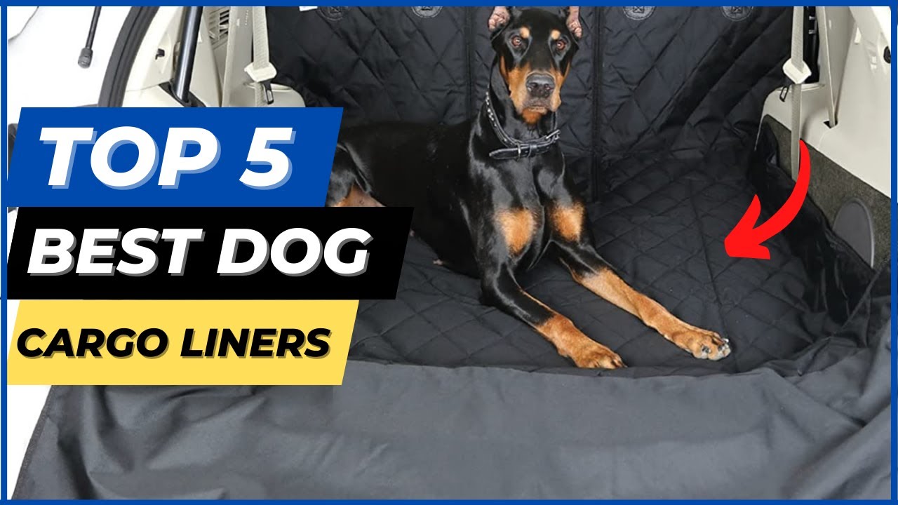 Top 5 best Dog Cargo Liner 2023 by top 5 eco 🔥