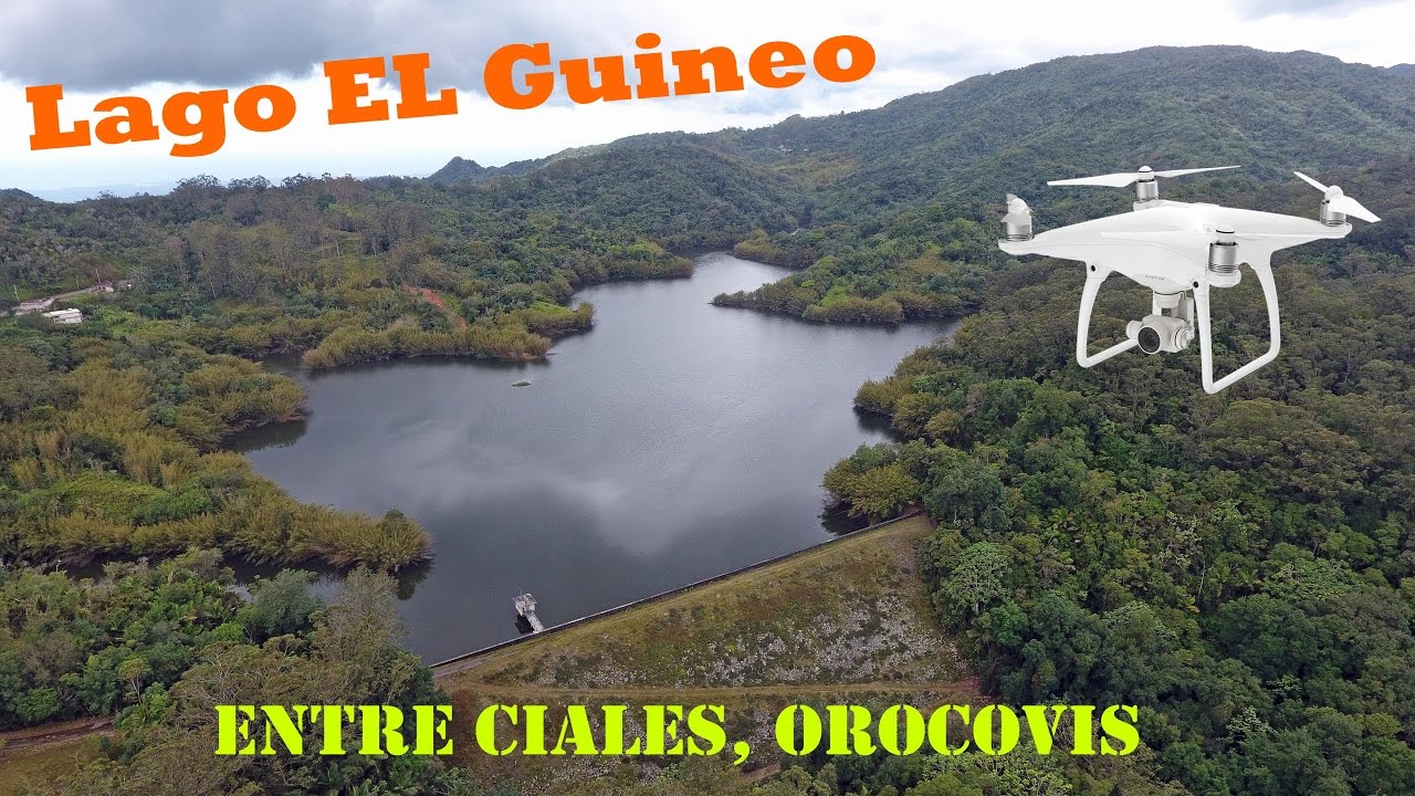 Lago Mas Alto de Puerto Rico, El Guineo