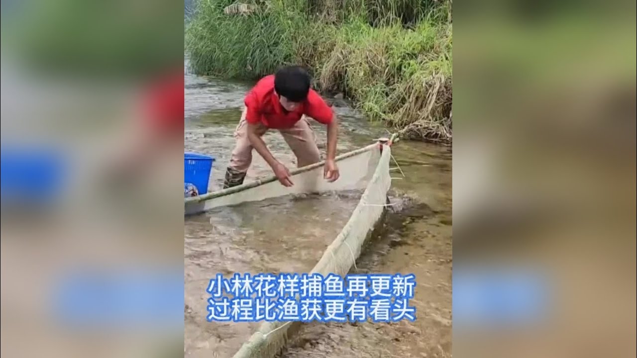 越南小林河道整新活，半船型陷阱搭配水坝，浅滩捕鱼欢乐多