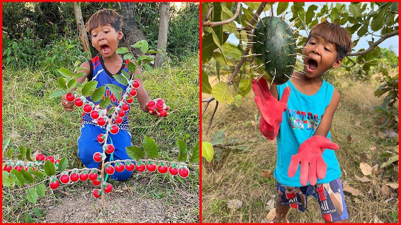 Survival Skills: SMART idea and USEFUL in forest with Two Brother #bushcraft #camping #outdoors