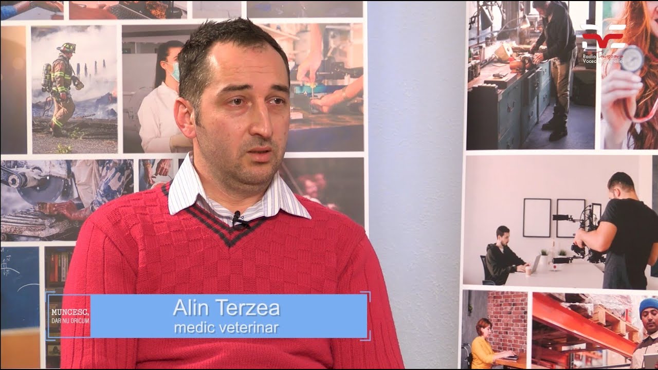 Alin Terzea, medic veterinar