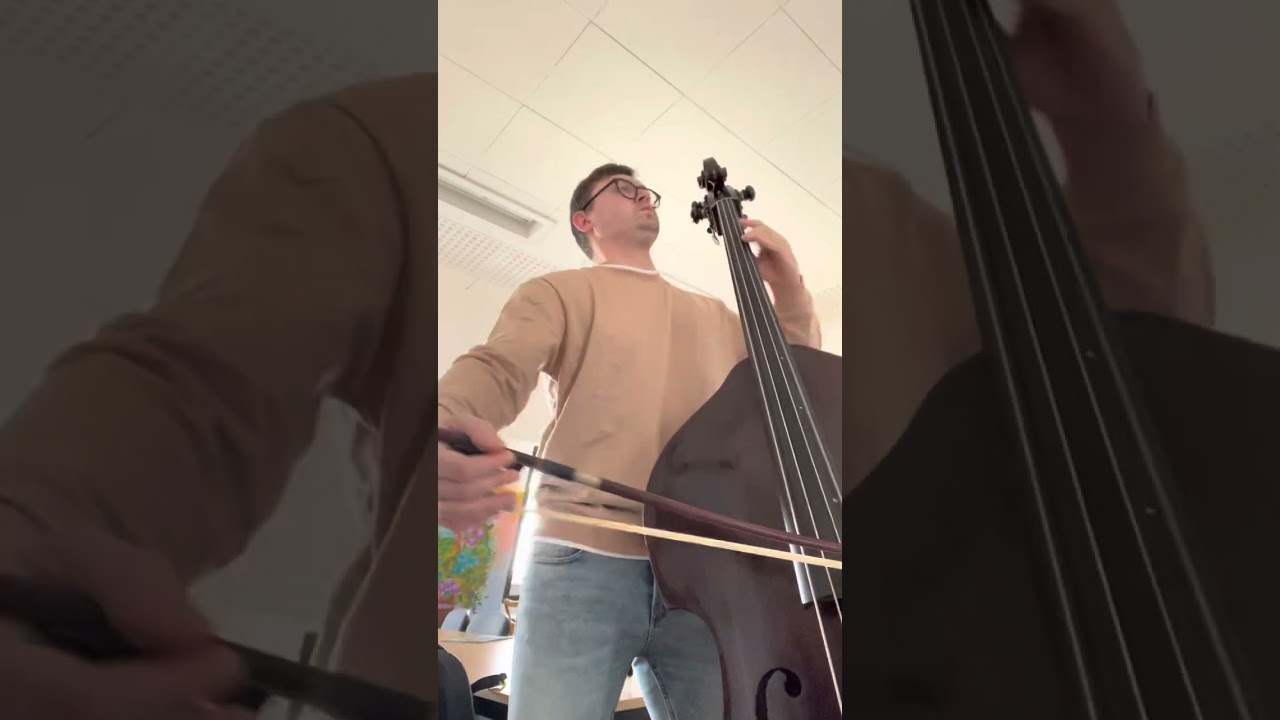 W.A.Mozart - Die Zauberflöte, double bass excerpt