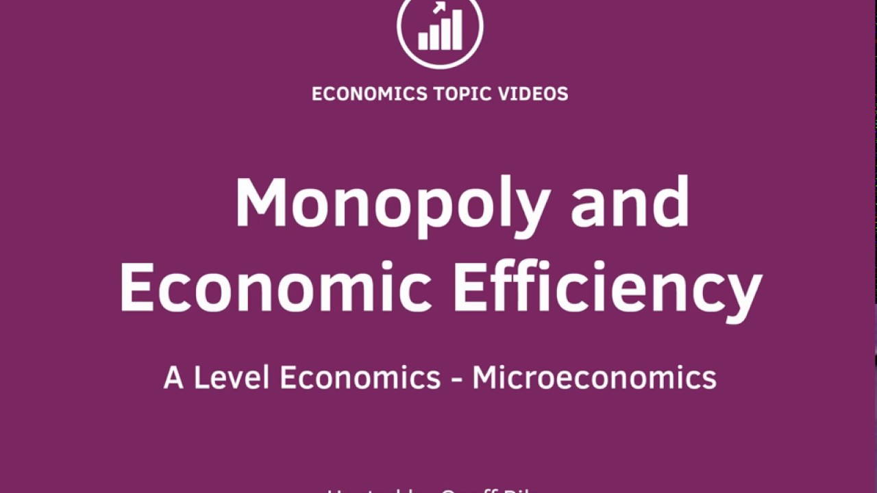Monopoly and Economic Efficiency I A Level and IB Economics