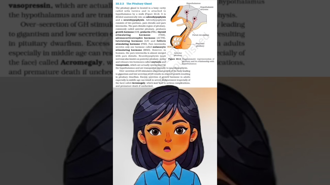 pituitary glands|Chemical  coordination and integration|Part 4|Ncert bio hub|