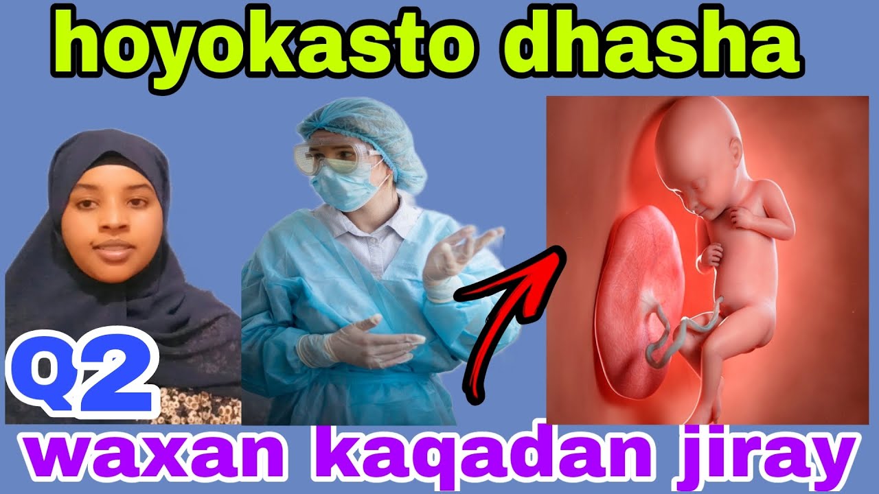Qiso layableh gabadhi kalkalisada e 8 sano ilahy ka fogaty maxa ku dhacy@afnaaneddabsan