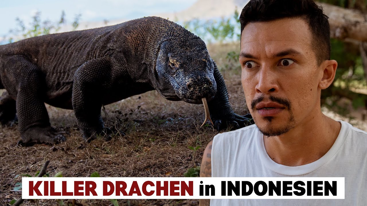 DIE GRÖSSTE ECHSE DER WELT - Wir haben sie gefunden! | VLOG #237