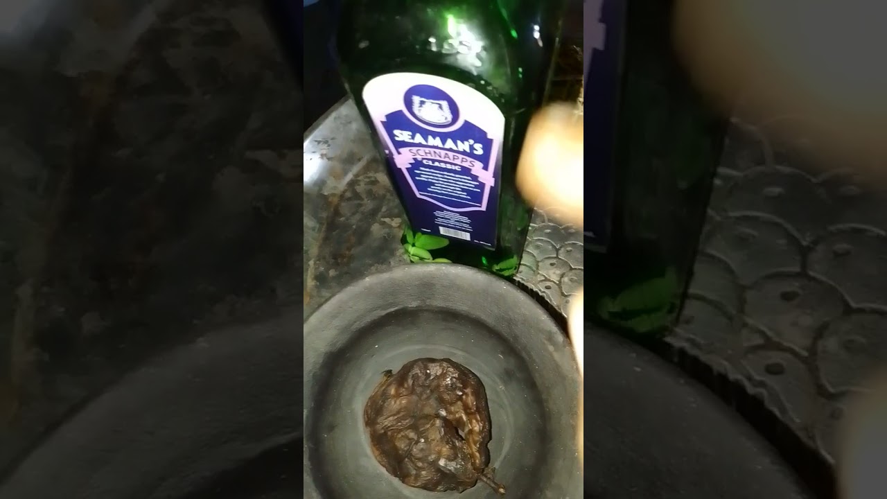 ASEJE ASINA TAKO TABO TOGBONA, ISORA, TOTUNSISE FUN OMO YAHOO