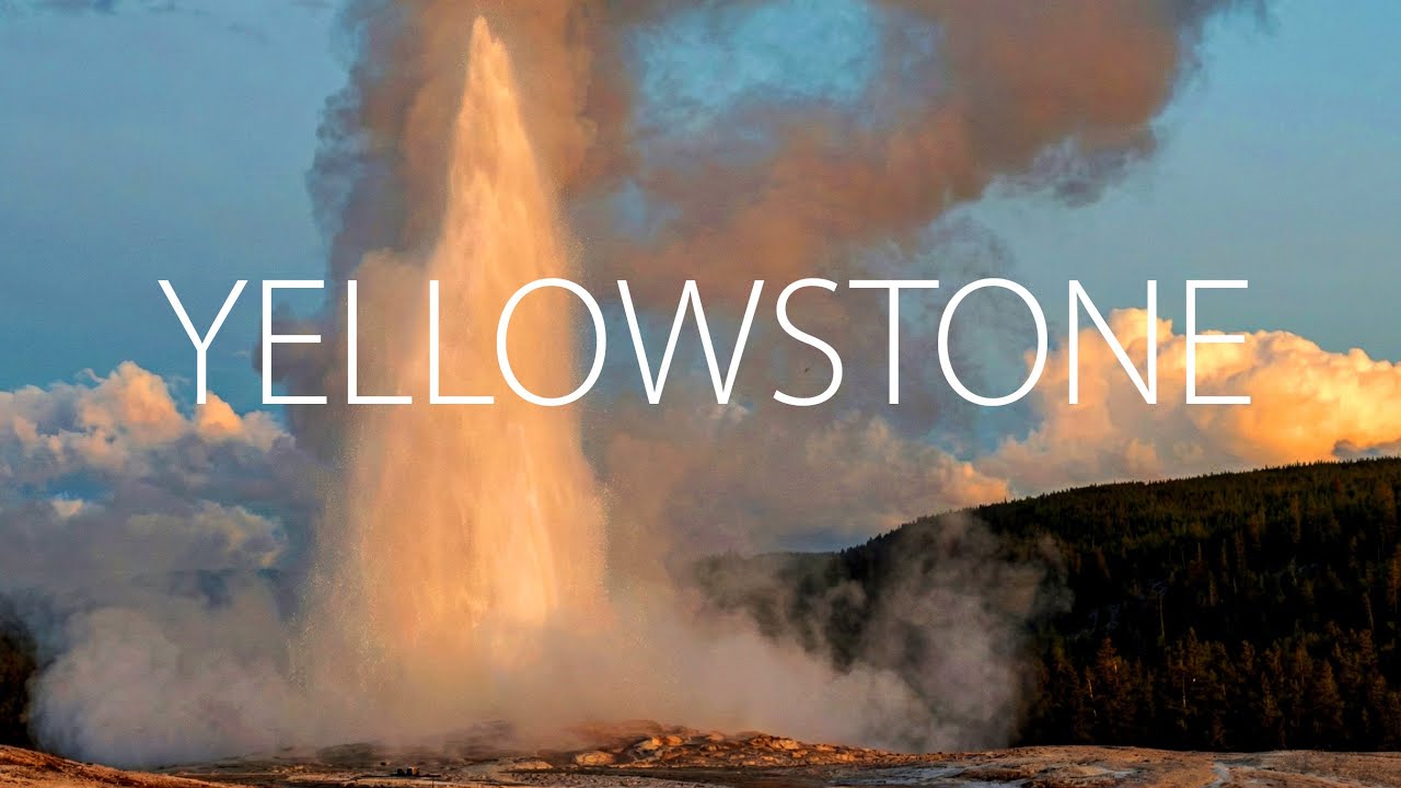 Yellowstone National Park, Wyoming, USA - Old Faithful, geysers, bison and hot springs