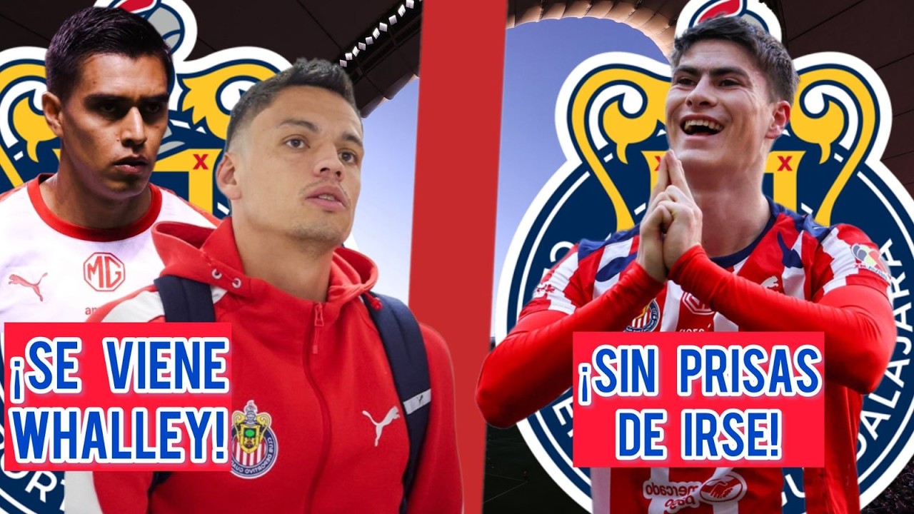NOVEDADES con WHALLEY | HORMIGA GONZÁLEZ QUIERE QUEDARSE | CHIVAS