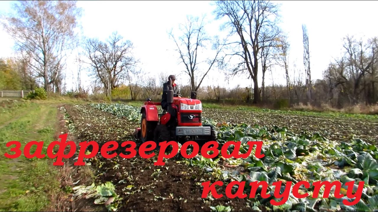 Фрезерование капусты.