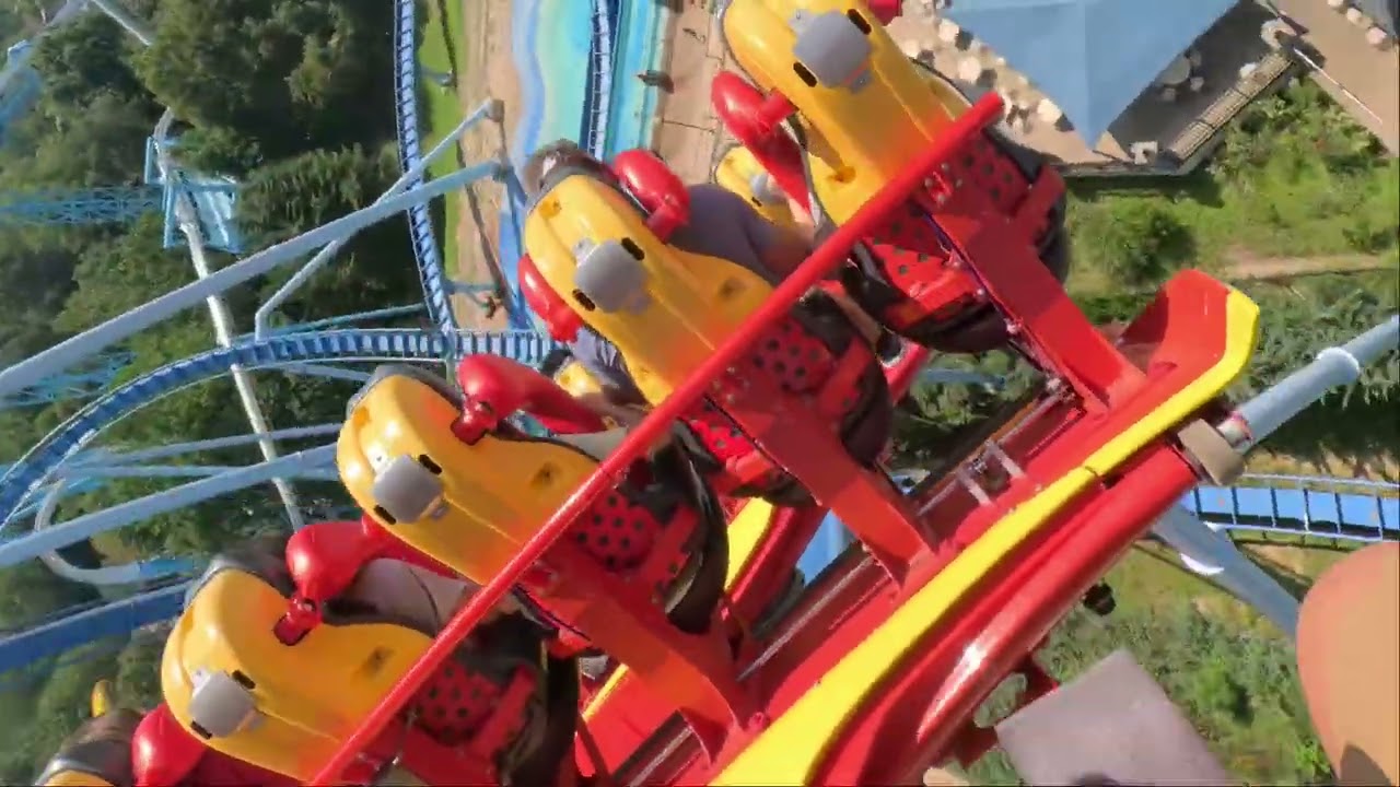 Griffon pov Busch gardens Williamsburg 