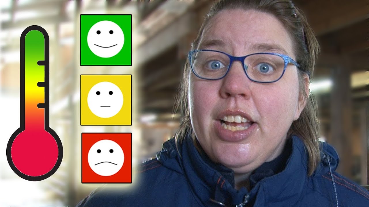 Wat vind jij van De Zijlen?