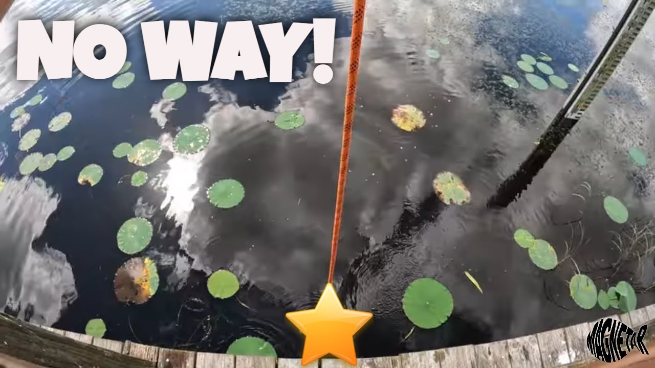 Это место было ПОЛНО сокровищ для магнитной рыбалки!! #магнитныйнаркоман #магнитнаярыбалка #рыбалка