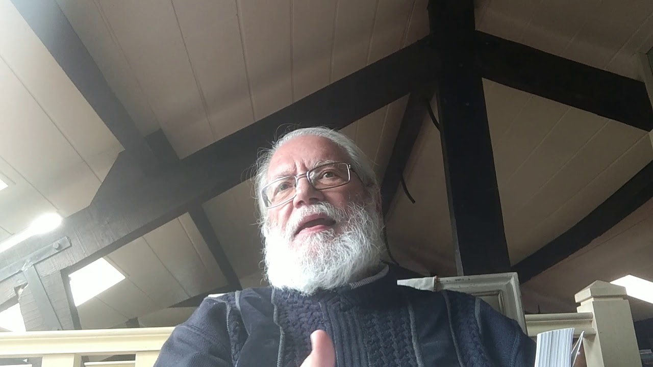 La ontologia del ser social