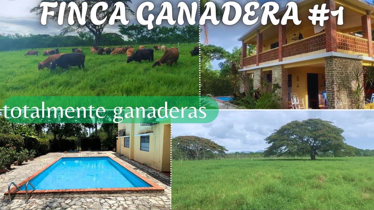 Finca totalmente Ganadera en Monte Plata - República Dominica