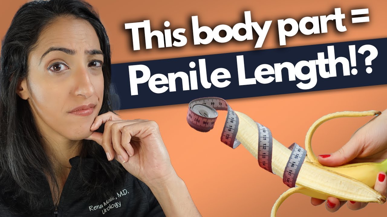 You&rsquo;ll never believe this&hellip;.a bigger **** = a longer penis?!