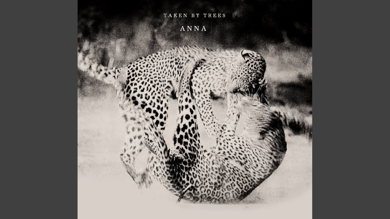 Annanass (Remixed by Andreas Söderström)