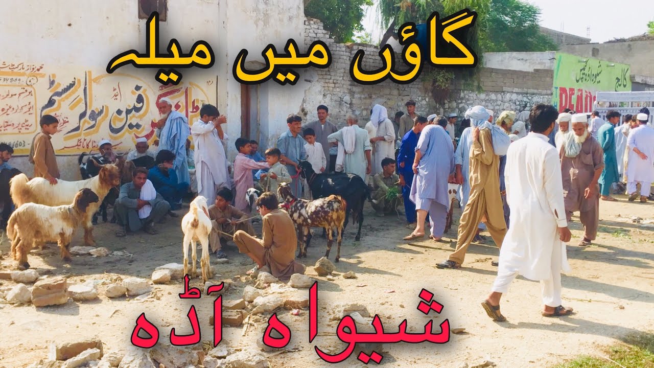 GAOUN KA MELA | DESI LOOKS | SHEWA ADDA | KHYBER PAKHTUNKHWA | QAYOOM KHAN