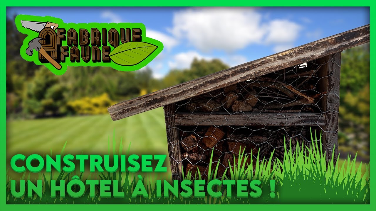 On Construit Un Hôtel à Insectes ! [FABRIQUE à FAUNE épisode 1]