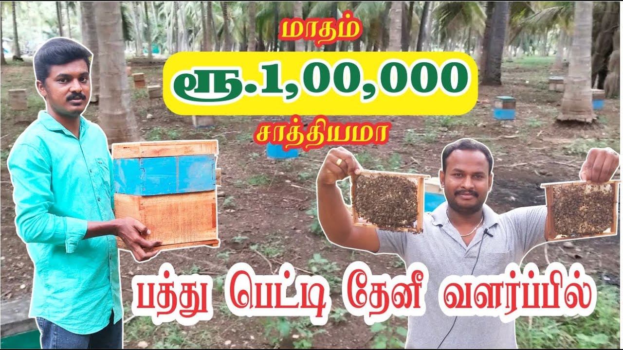 பத்து பெட்டி தேனீ வளர்ப்பில் மாதம் 1,00,000 வருமானம் சாத்தியமா? Honey Bee farm agriculture.