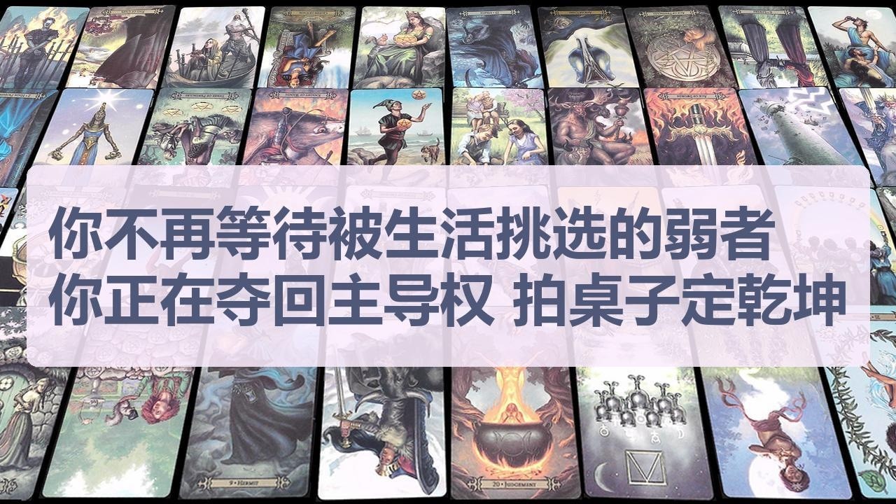 Tarot✨你不再是那个等待被生活挑选的弱者，你正在夺回主导权，拍桌子定乾坤