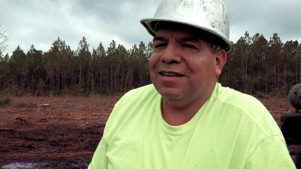 SWAMP LOGGERS NC  - 