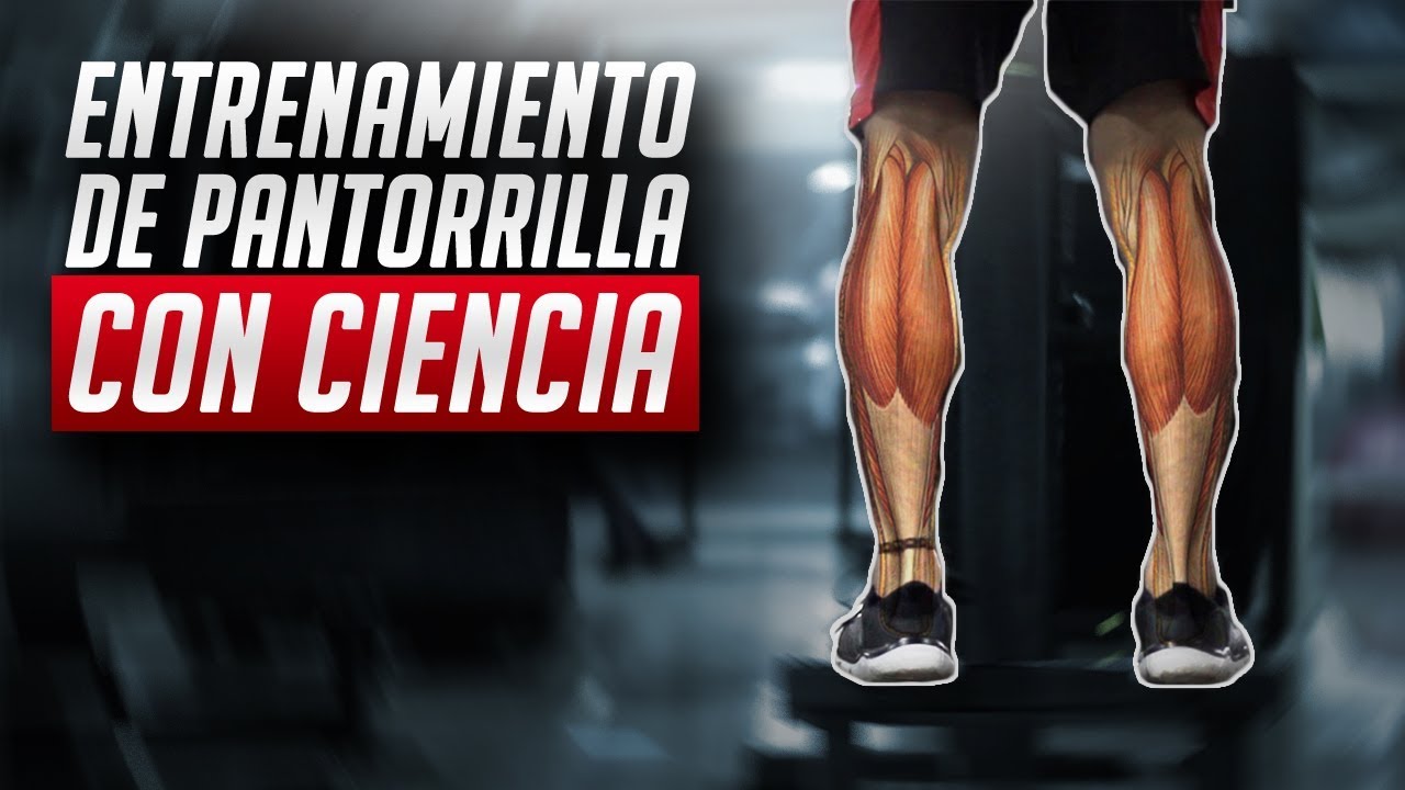 El mejor entrenamiento de pantorrilla / CIENTÍFICAMENTE COMPROBADO