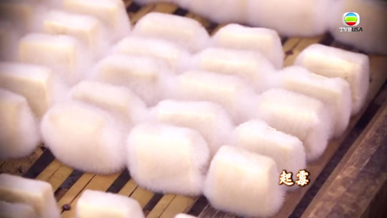 香港原味道2 ｜ 古法製作腐乳過程大公開