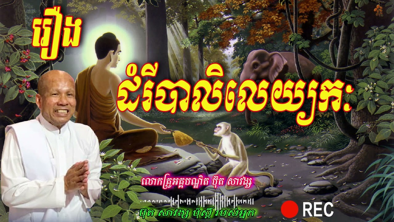 រឿង  ដំរីបាលិលេយ្យកៈ   លោកគ្រូអគ្គបណ្ឌិត ប៊ុត សាវង្ស 🙏🙏🥰🥰💖🌿
