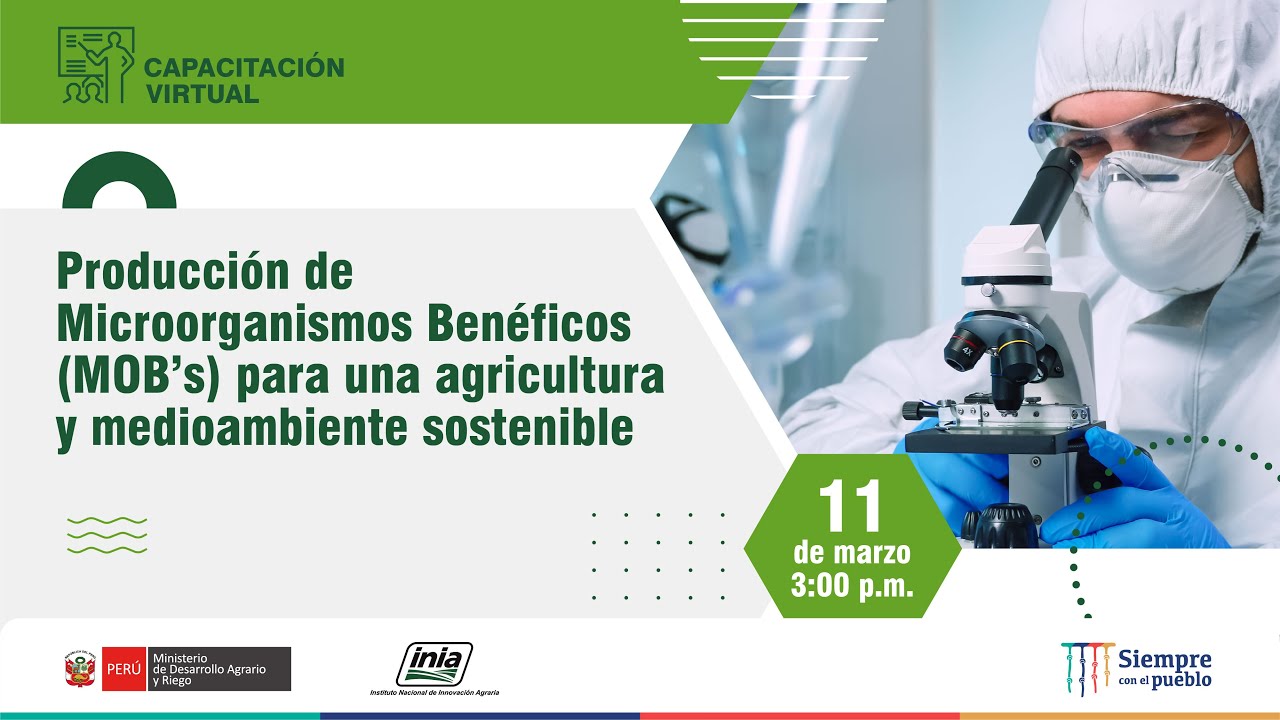 Producción de Microorganismos Benéficos (MOB’s) para una agricultura y medioambiente sostenible