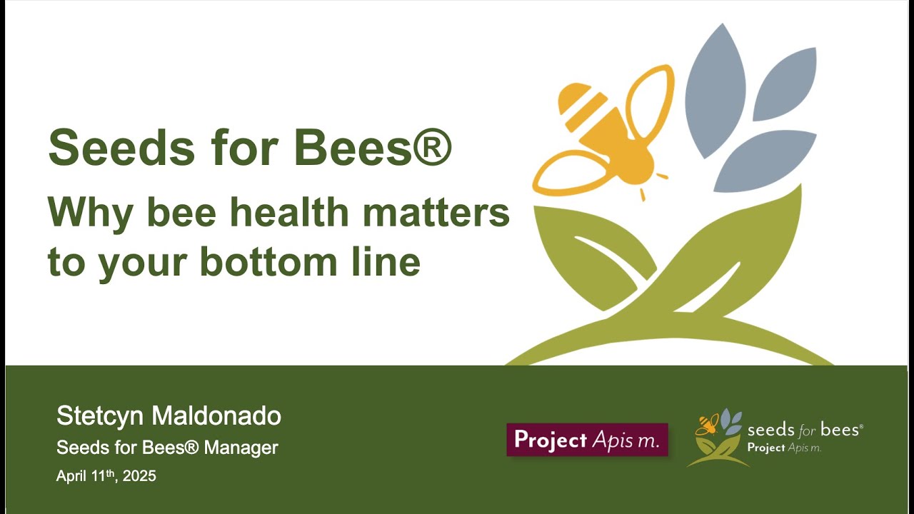 Why Bee Health Matters to Your Bottom Line: A Seeds for Bees® Webinar