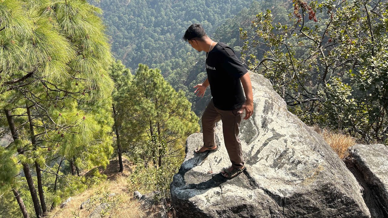 Jungle ma tiger aayo guys 🥹🥹🐽