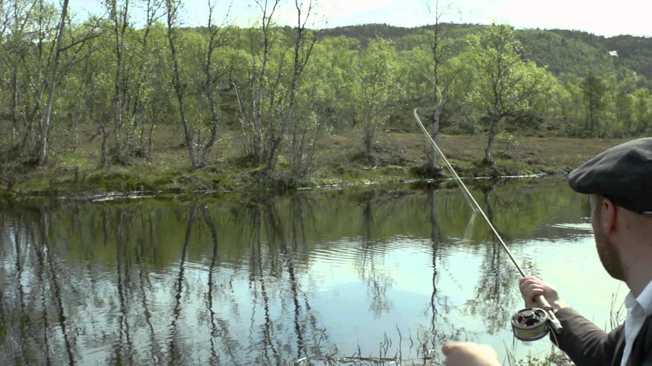 Les Vaches et les Mouches