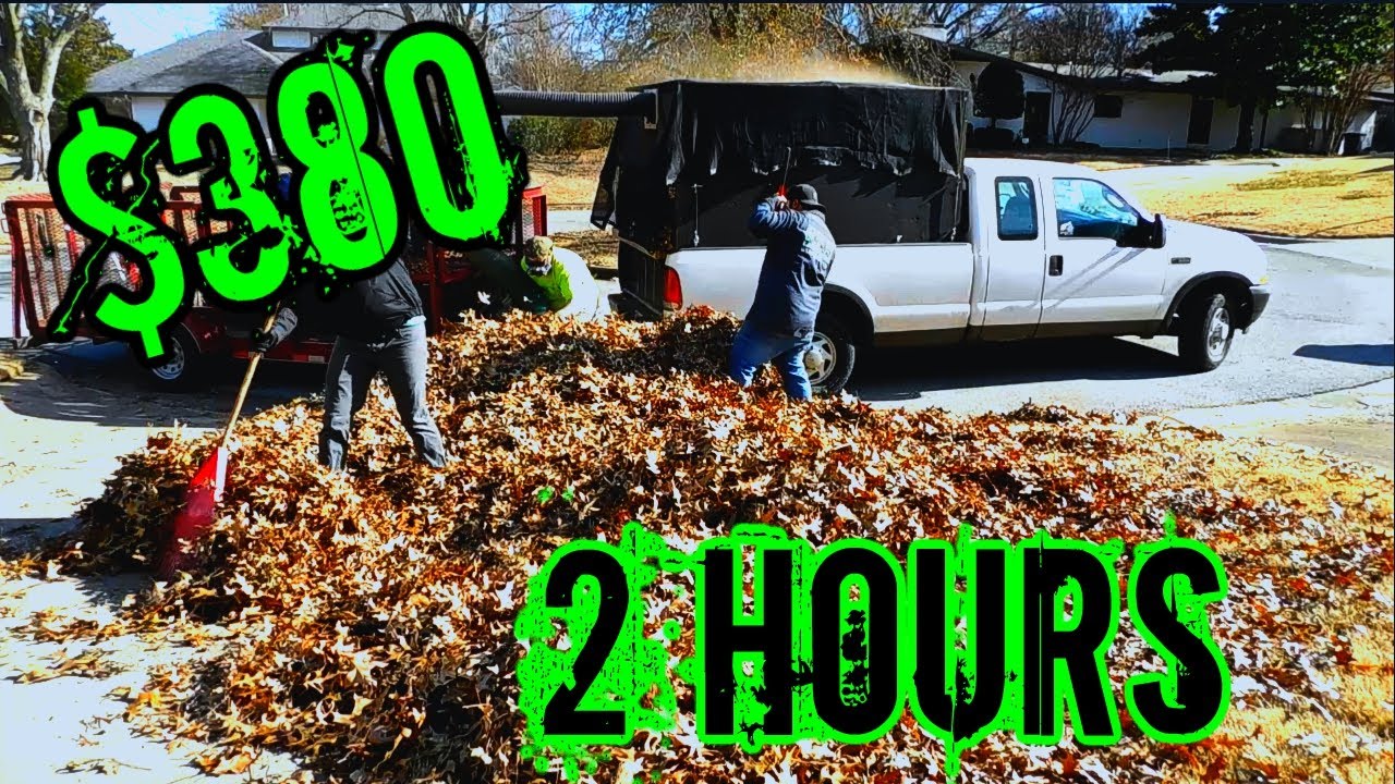 Pricing leaf removal / How i charge for leaf removal