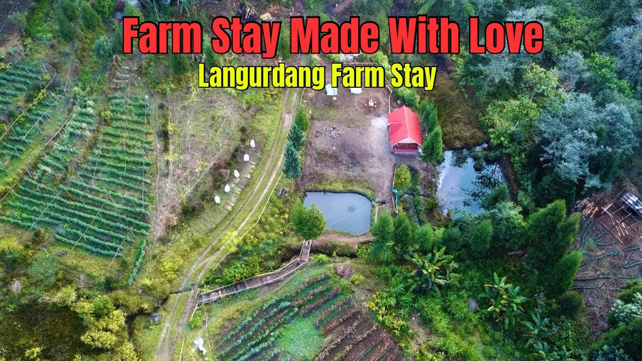 Relling Gumbatar To Langurdang||Best Place To Visit||RJ Sagar