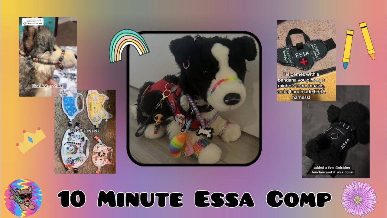 Essa comp because you dont have tiktok! (DIY gear and unboxing ed)