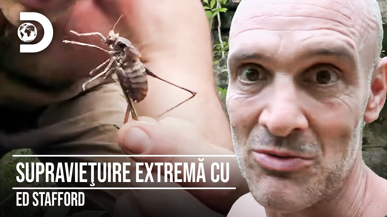 „M-am înecat cu un picior de greiere!” | Supravieţuire extremă cu Ed Stafford