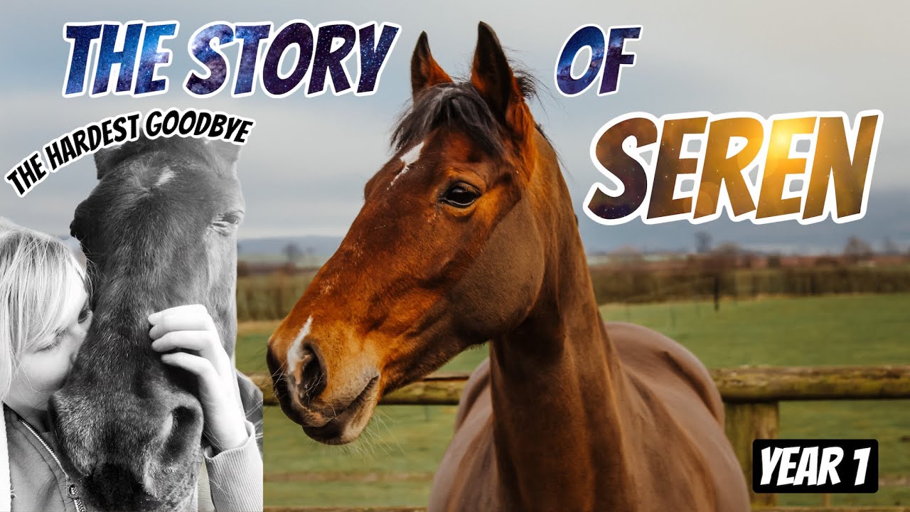 THE STORY OF SEREN| my riding journey~ Our first year