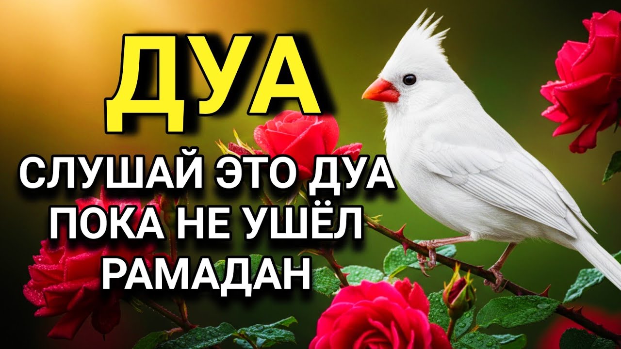 🔑💖 СЛУШАТЬ КАЖДЫЙ ДЕНЫ ДЛЯ БЛАГОПОЛУЧИЯ СЕМЬИ! ИН ШАА АЛЛАХ В МЕСЯЦ РАМАДАН 🤲💯