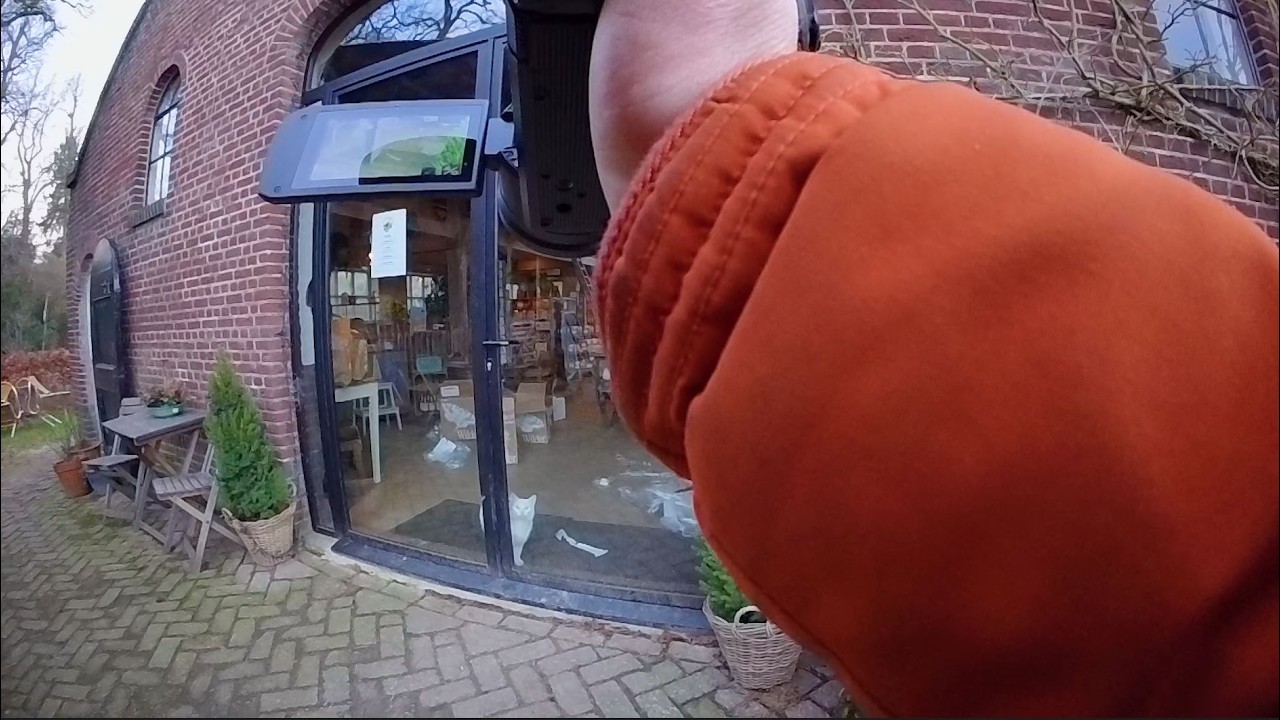 Wat een lief katje! | Hof van Gunterstein Breukelen