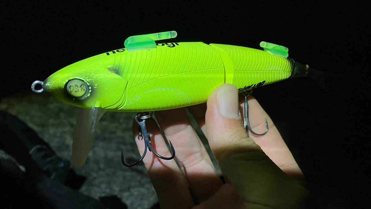 琵琶湖バス釣りライブ。ネコソギにケミホタルをつけたらアピール力高くてめっちゃ釣れるのか？検証。（時合が20時〜22時らしい）