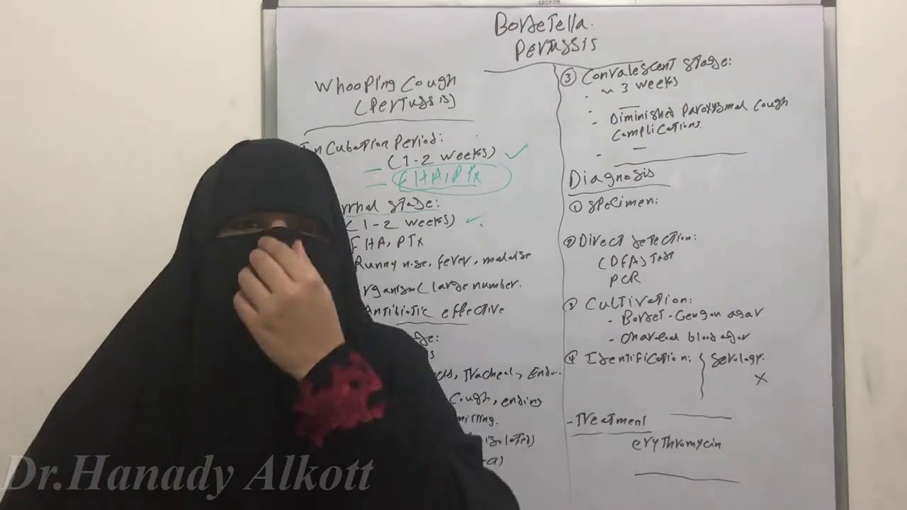 🗣👁👀السعال الديكي الجزء التاني (Bordetella pertussis Part 2)👥👀👁🗣