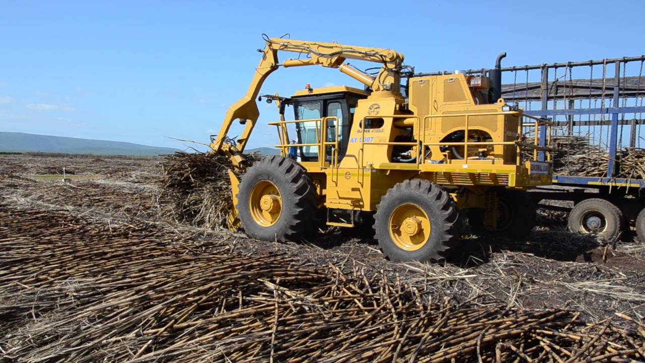 Game Equipment's 4700LX Sugar Cane Loader