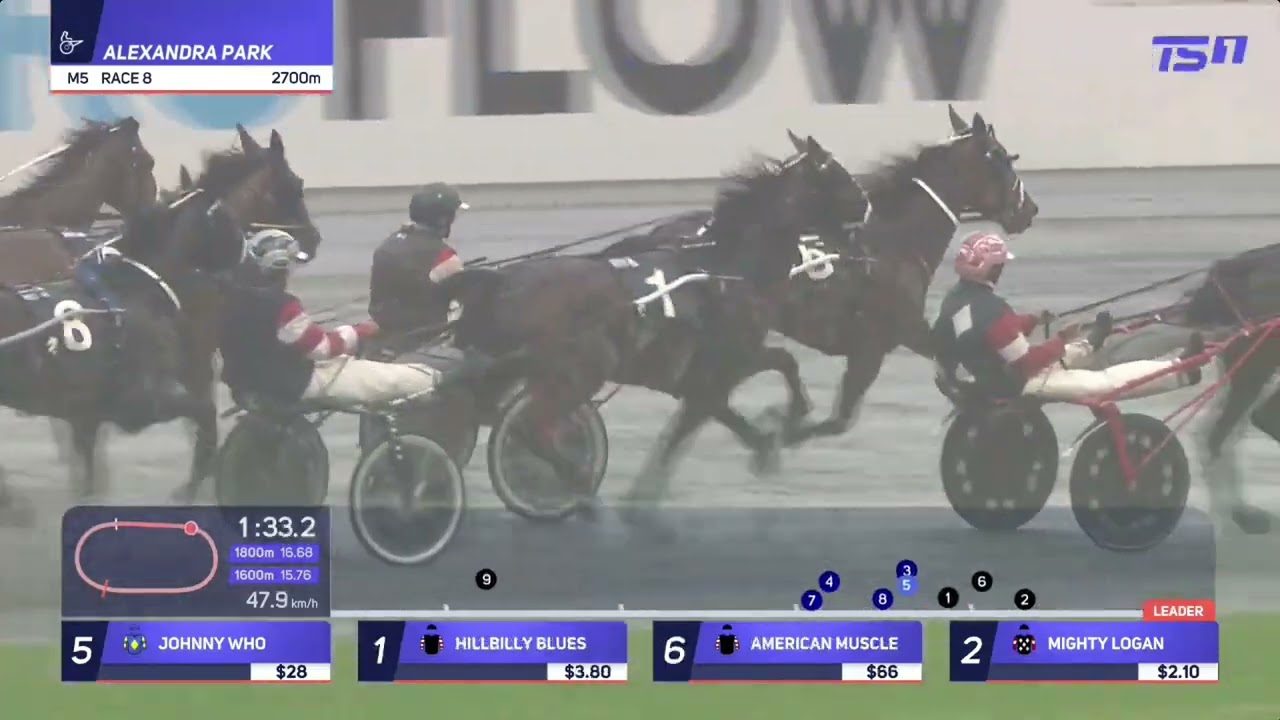 Hillbilly Blues - 2025 National Trot