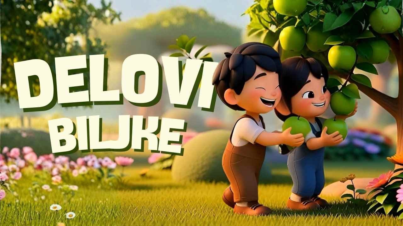 Delovi biljke (Koren, stablo, zelen' list) ,edukativna pesma | TRALALI