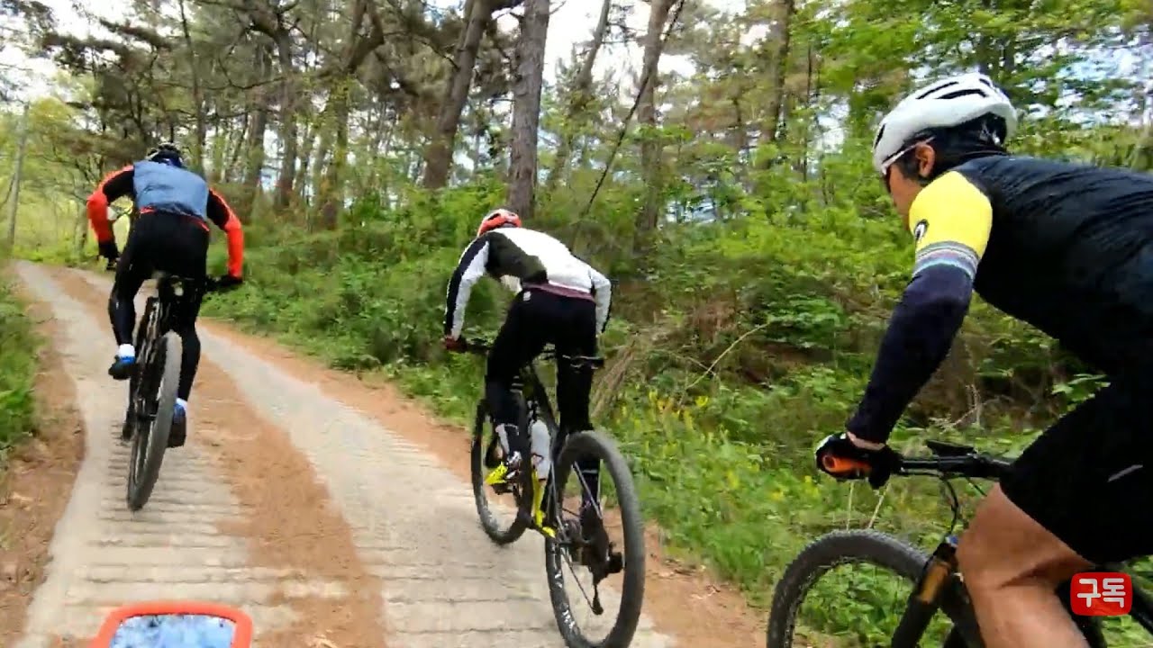 비슬산둘레길/최상급/XC클럽/MTB/임도/무한질주