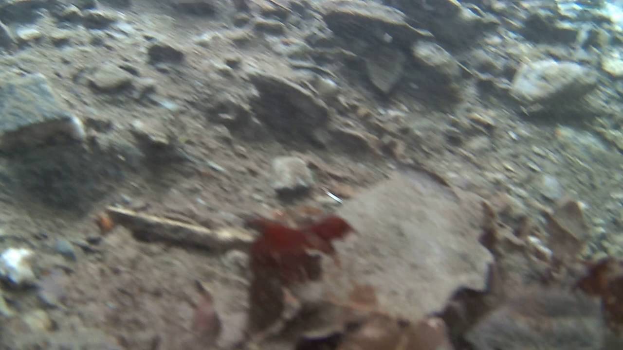 Test: Rollei Actioncam 400 (1/2)