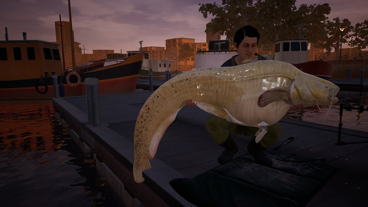 The Catch: Carp & Coarse - Poradnik: Sumy oraz PÓŁTORAMETROWE szczupaki #3