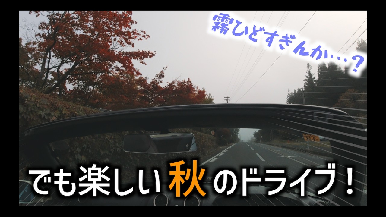 紅葉を求めてドライブしに行ったら霧と曇りが多かったけど最高に楽しかった！【コメント返答もあり】