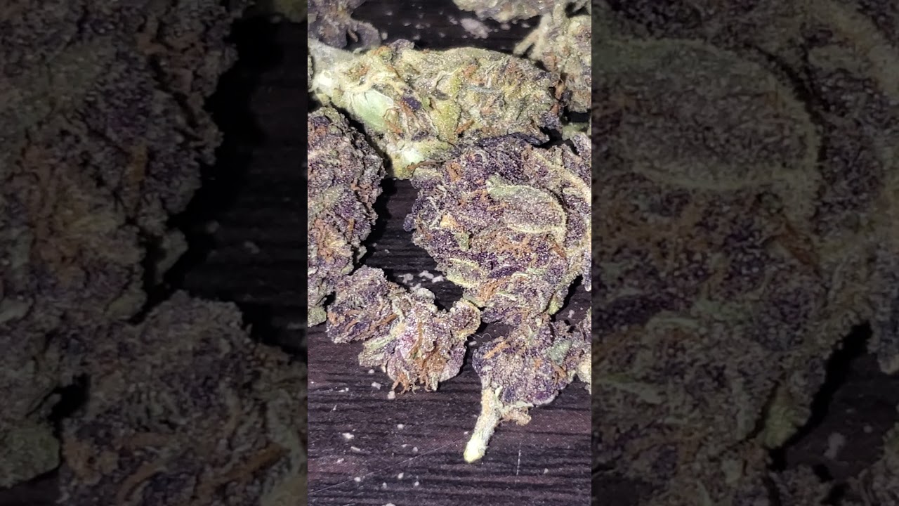 Purple Gorilla Breath